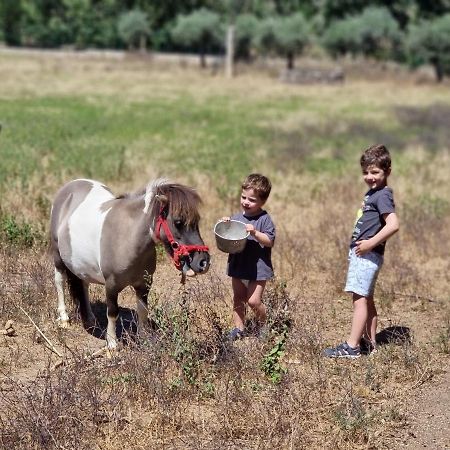 Arca Dos Animais - Farming & Spa Каштелу-Бранку Экстерьер фото