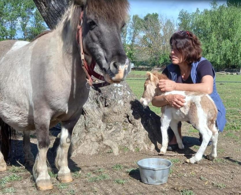 Arca Dos Animais - Farming & Spa Каштелу-Бранку Экстерьер фото